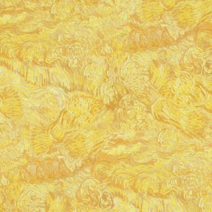  BN International Van Gogh 17170 