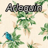 Arlequin