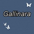 Gallinara