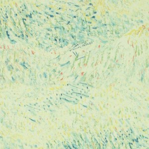 BN International Van Gogh 17180 